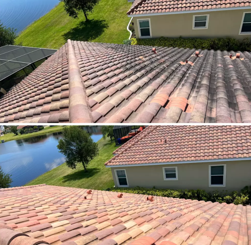Roof Cleaning Apopka FL